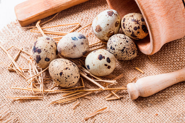 Перепелиные яйца показаны при диабете, поскольку они мягко понижают уровень сахара в крови, а также выводят из организма радиацию