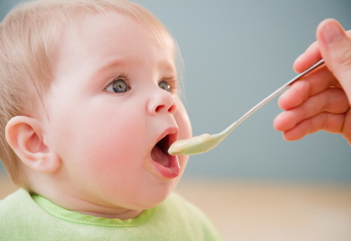 Чем кормить малыша
