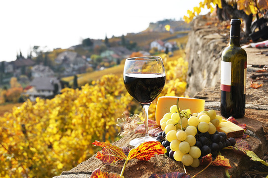 Среди белых сортов у гурманов пользуется уважением вино «Верначча ди Сан-Джиминьяно»