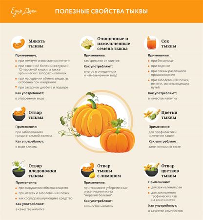 Инфографика: полезные свойства тыквы