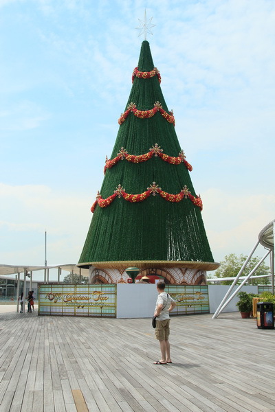 Моя Сингапурская сказка. Расставание...