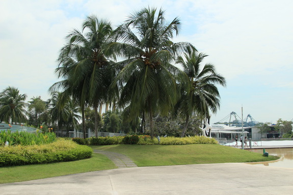 Моя Сингапурская сказка. Расставание...