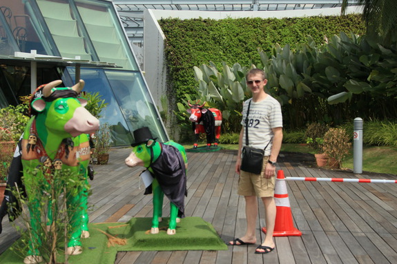 Моя Сингапурская сказка. Расставание...