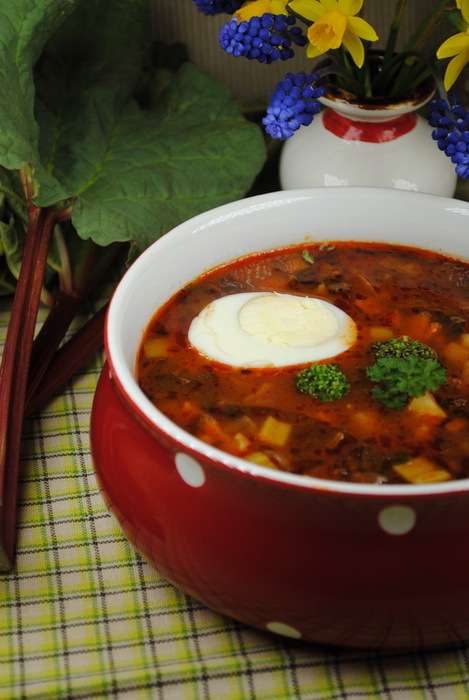 Суп на телятине со щавелем и ревенем