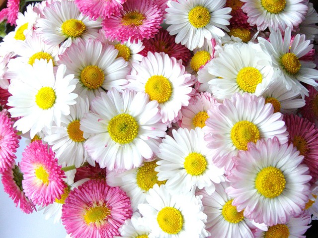 Риточка (Маргарита Бузова), с днем рождения!