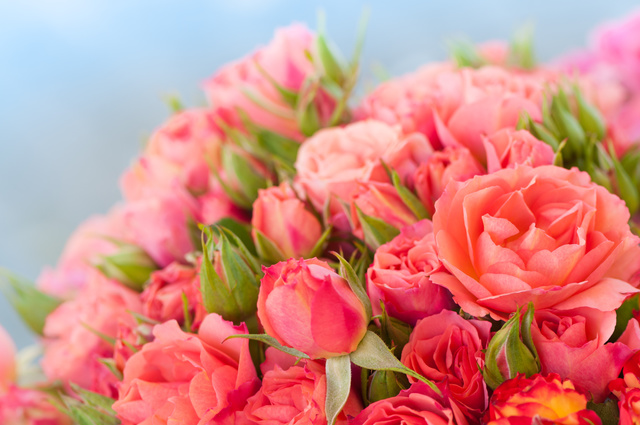 Наташенька (Чиша), с днем рождения!