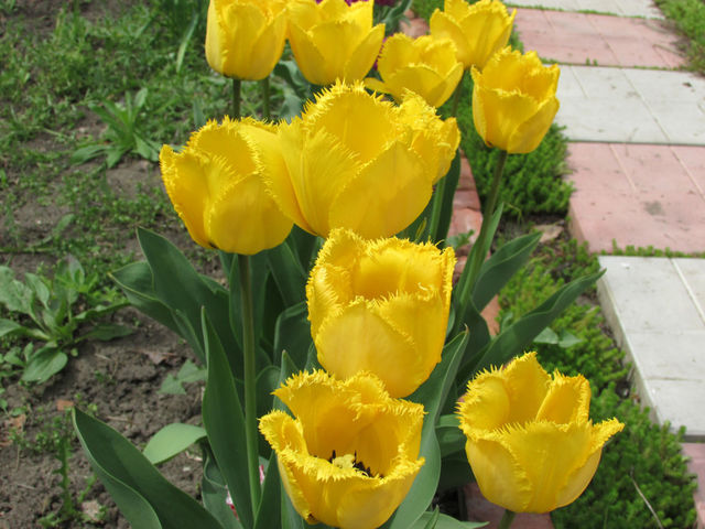 В перерыве на обед