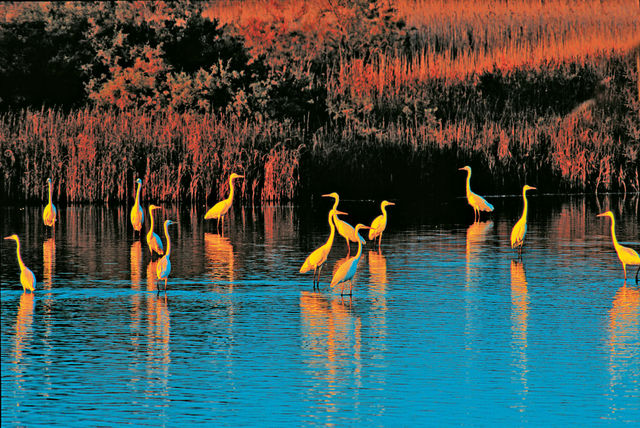 Озёра в Греции