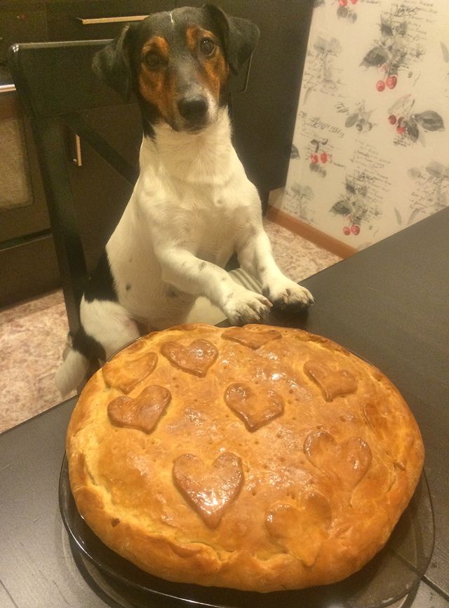 Маленькие кулинарные радости моих будней