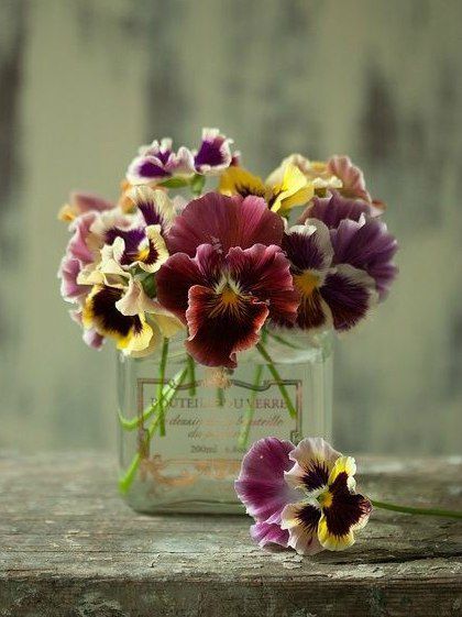 Анечка, милая, с Днём Рождения!