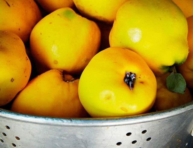 Foto: homelife. Voňavé, sladké, zdravé kdoulové víno se pije při zažívacích potížích, chudokrevnosti, srdečních chorobách a astmatu.