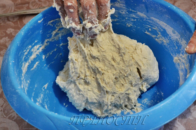 Хлеб Эпи . Примете новенькую?)