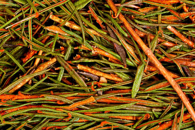 Заваривать рододендрон Адамса можно не только с черным и зеленым чаем, но и с травяными сборами