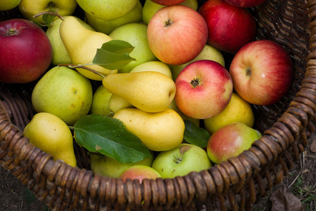 Яблоки и груши можно включать в меню кормящей мамы