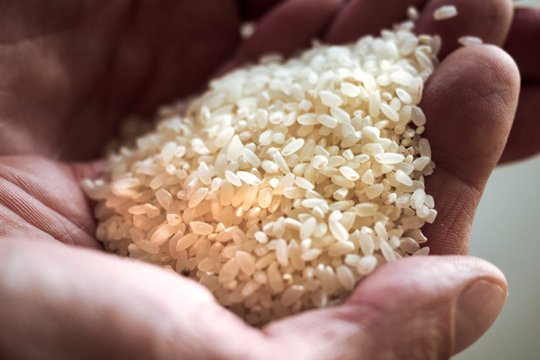 Интересные исторические факты об истоках культуры выращивания и потребления риса