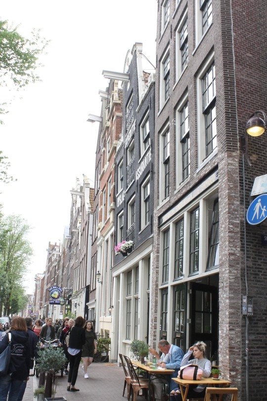 Незабываемое путешествие от Princess в гости к Королеве тюльпанов.