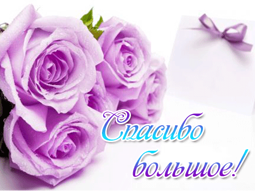 Мой приз от TESCOMA!