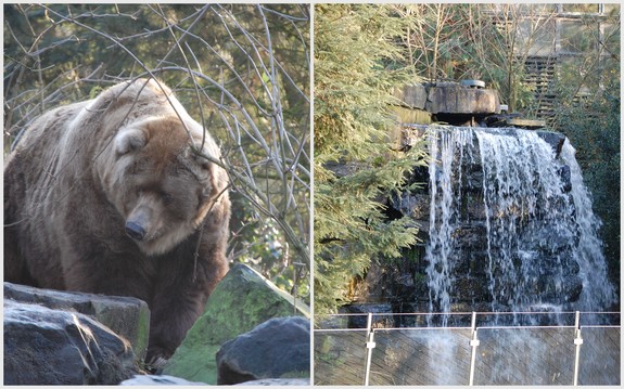 Амстердам - сердце Голландии
