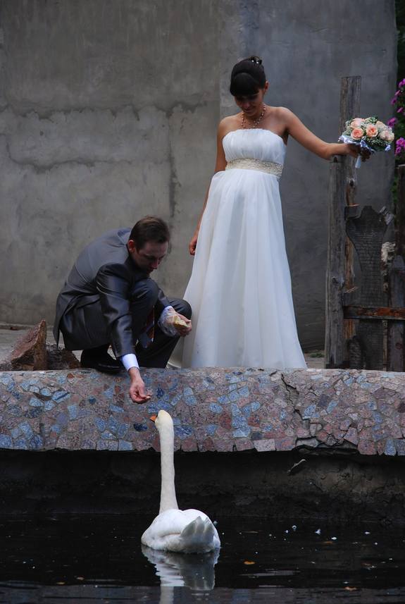 Амстердам - сердце Голландии