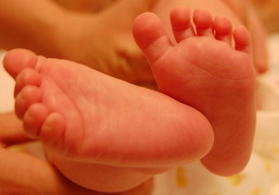 Амстердам - сердце Голландии