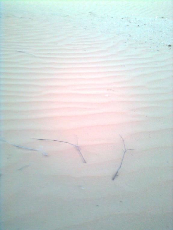 В СТРАНЕ 1001 НОЧИ