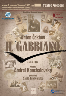 Чайка Чайка