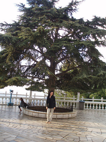 Путешествие в Ливан (продолжение)