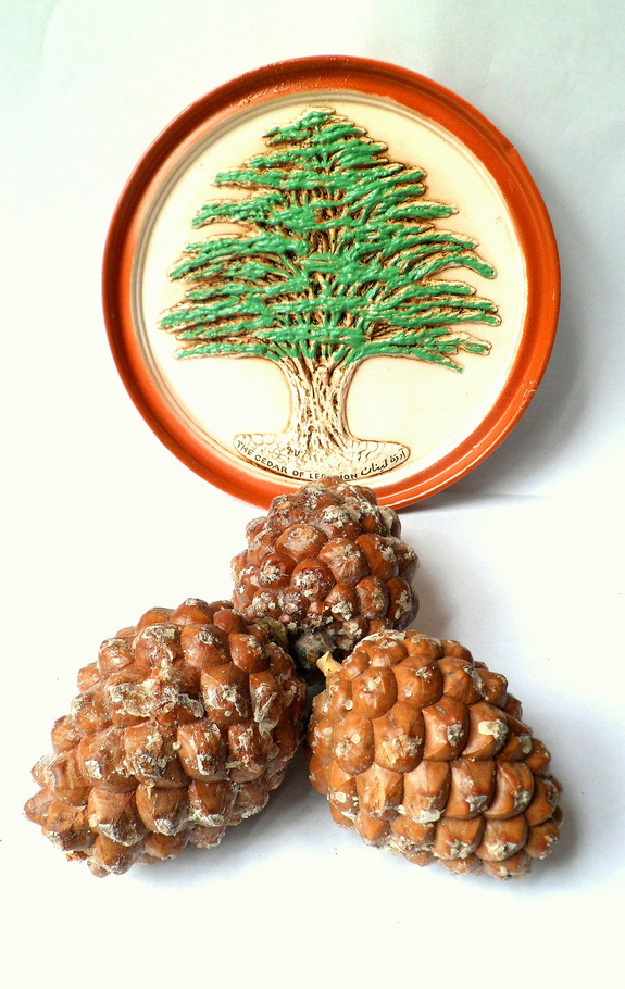 Путешествие в Ливан (продолжение)