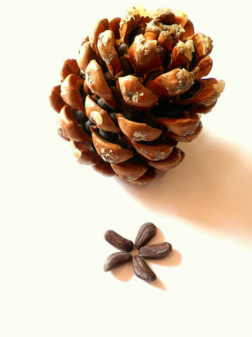 Путешествие в Ливан (продолжение)