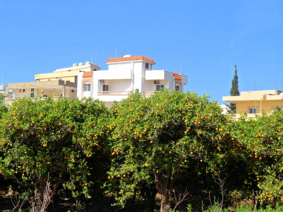 Путешествие в Ливан (продолжение)