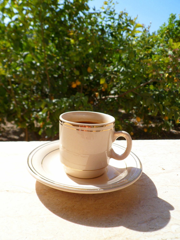 Путешествие в Ливан (продолжение)