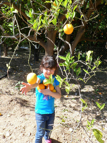 Путешествие в Ливан (продолжение)