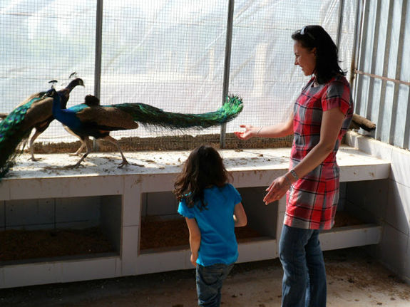 Путешествие в Ливан (продолжение)