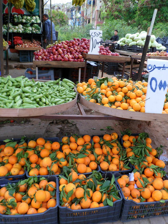 Путешествие в Ливан (продолжение)