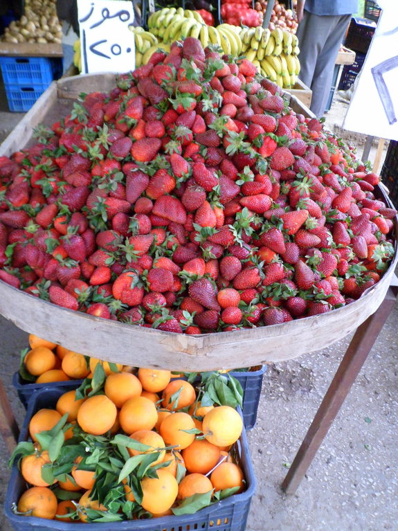 Путешествие в Ливан (продолжение)