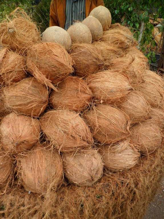 Путешествие в Ливан (продолжение)