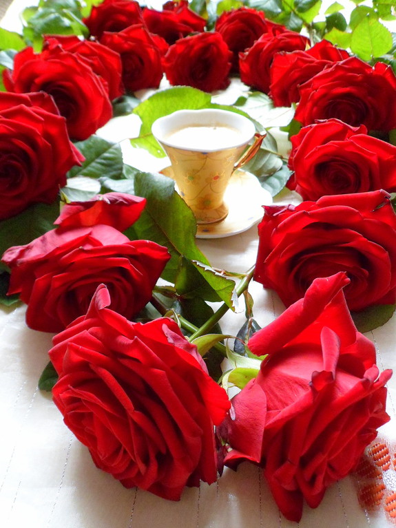 Путешествие в Ливан (продолжение)