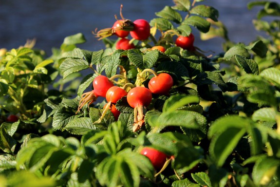 До свидания, осень!!!