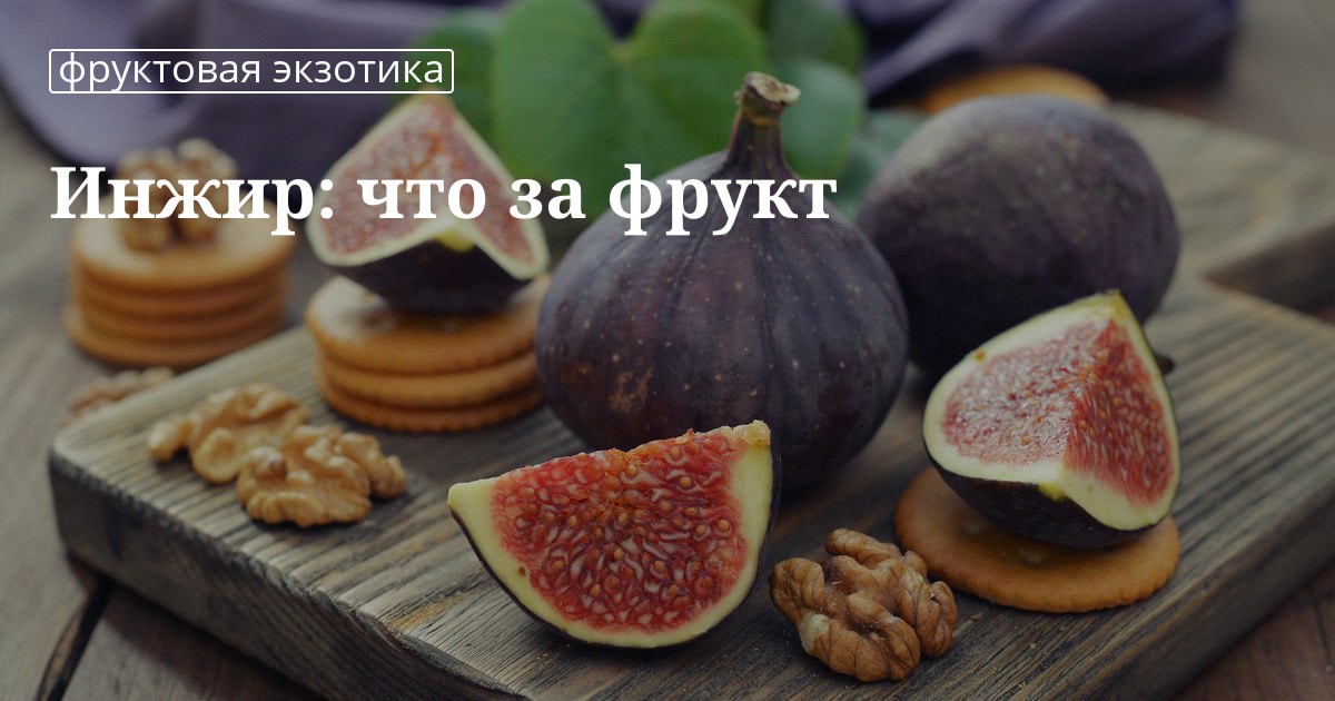 Инжир как растт где растт в России фрукт или ягода полезные свойства