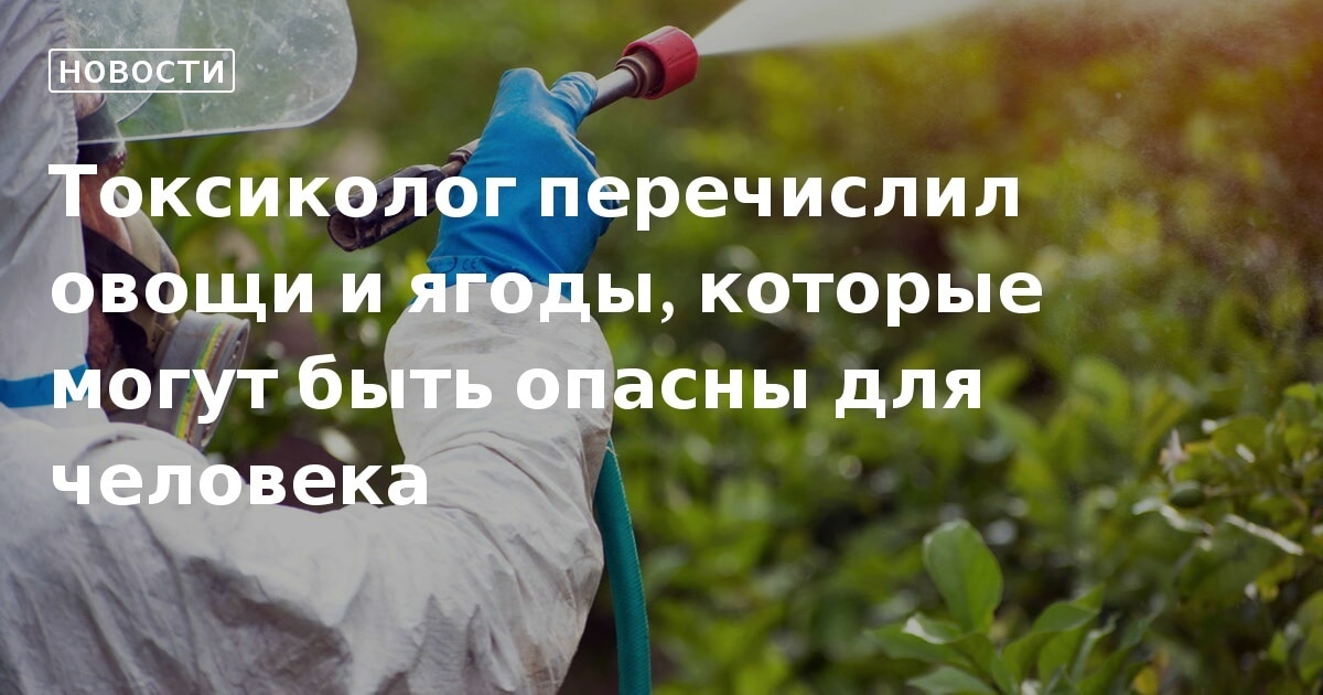 Юлия Высоцкая 2022 Фото