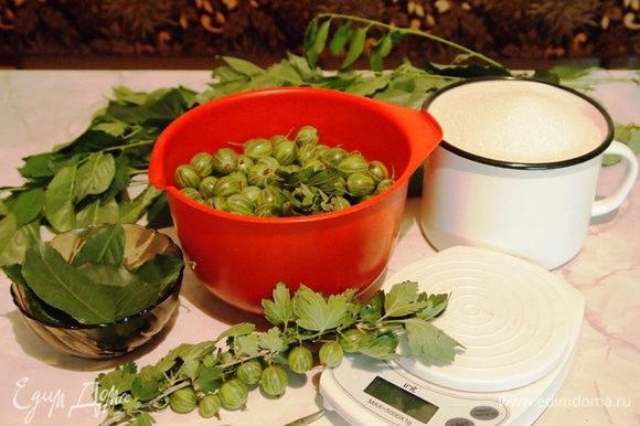   .          !     (     ),     ,   ,   .        ,    .