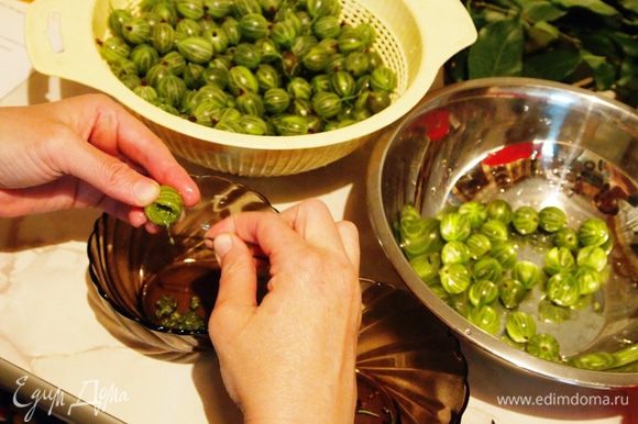  .               .       ,              (      ).