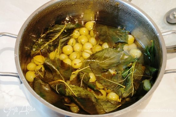      :     ,  ,         .    ,    .       ,  15-18 ,   ,     .           2-3 .      ,   ,   .