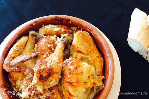     .       .         ( )       !  !