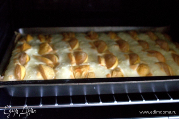    ,   250C,    200C 40 .