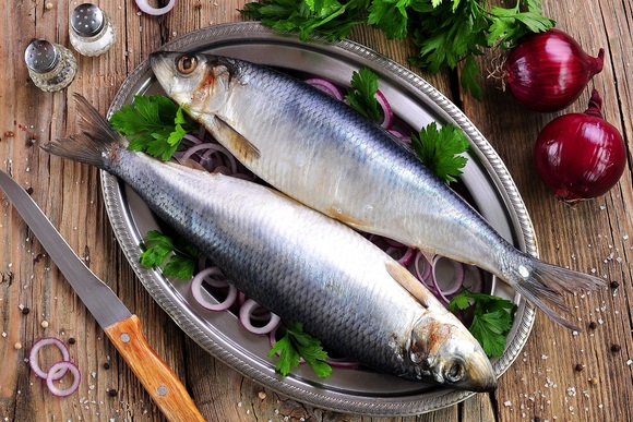 Что за рыба сельдь: в чем ее польза и особенности приготовления?